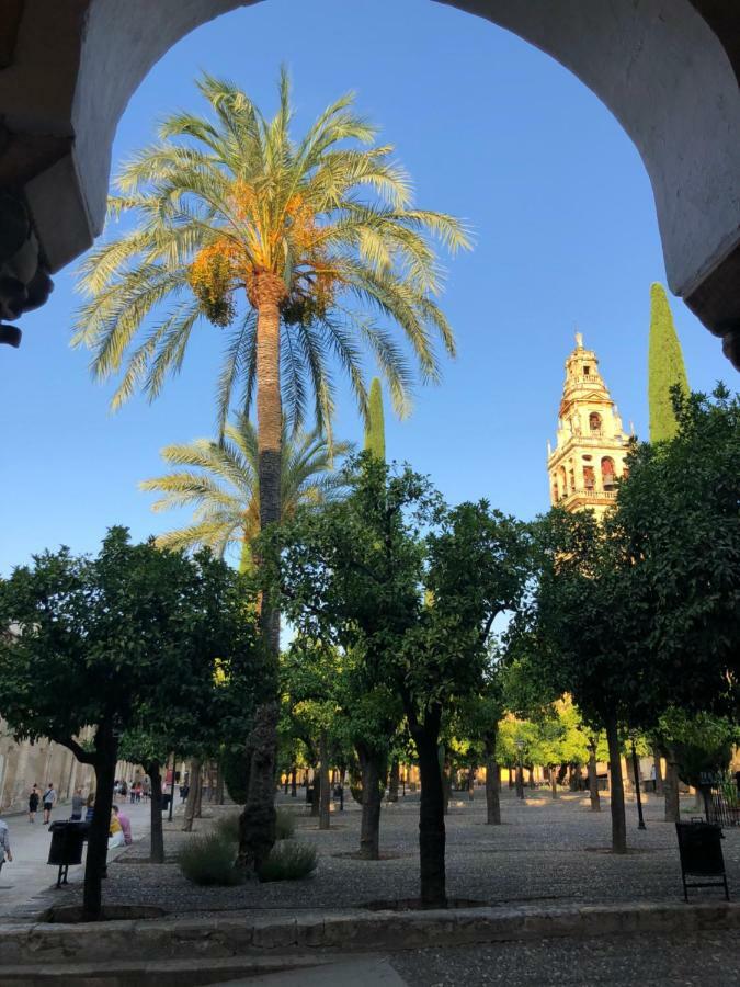El 5 De La Hoguera Appartamento Cordova